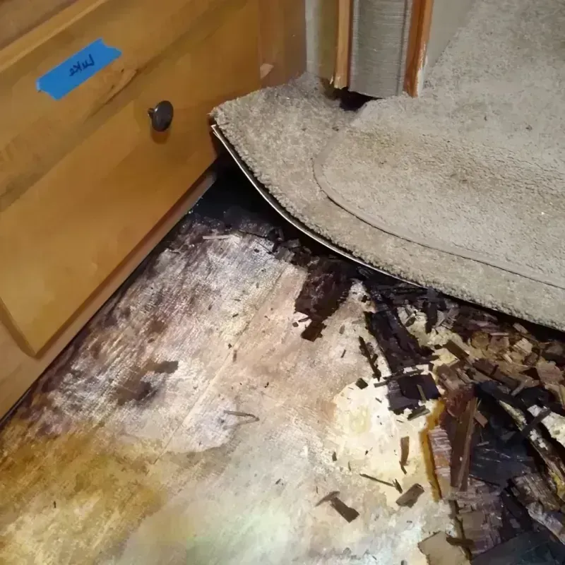 Wood Floor Water Damage in Lake Lucerne, FL